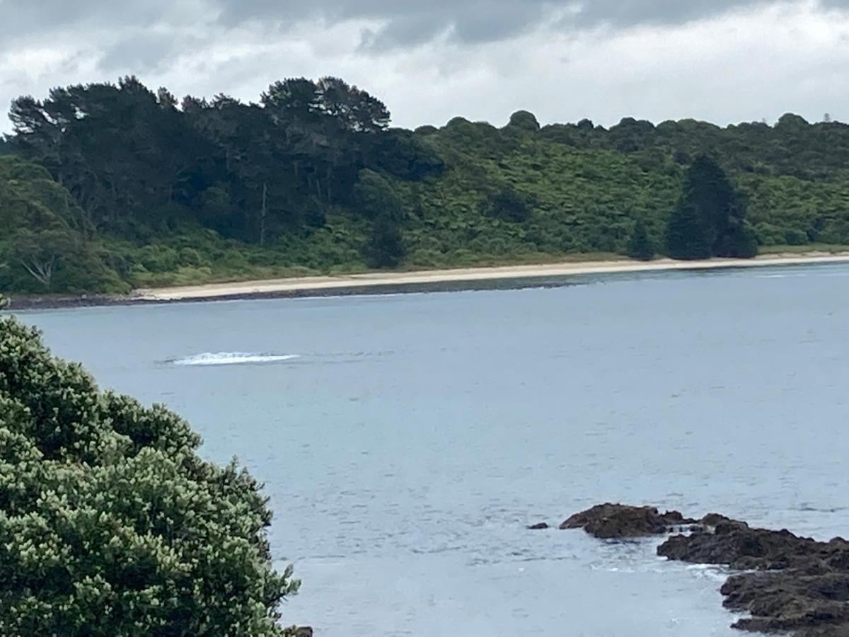 Tide Apartment Kerikeri Bagian luar foto